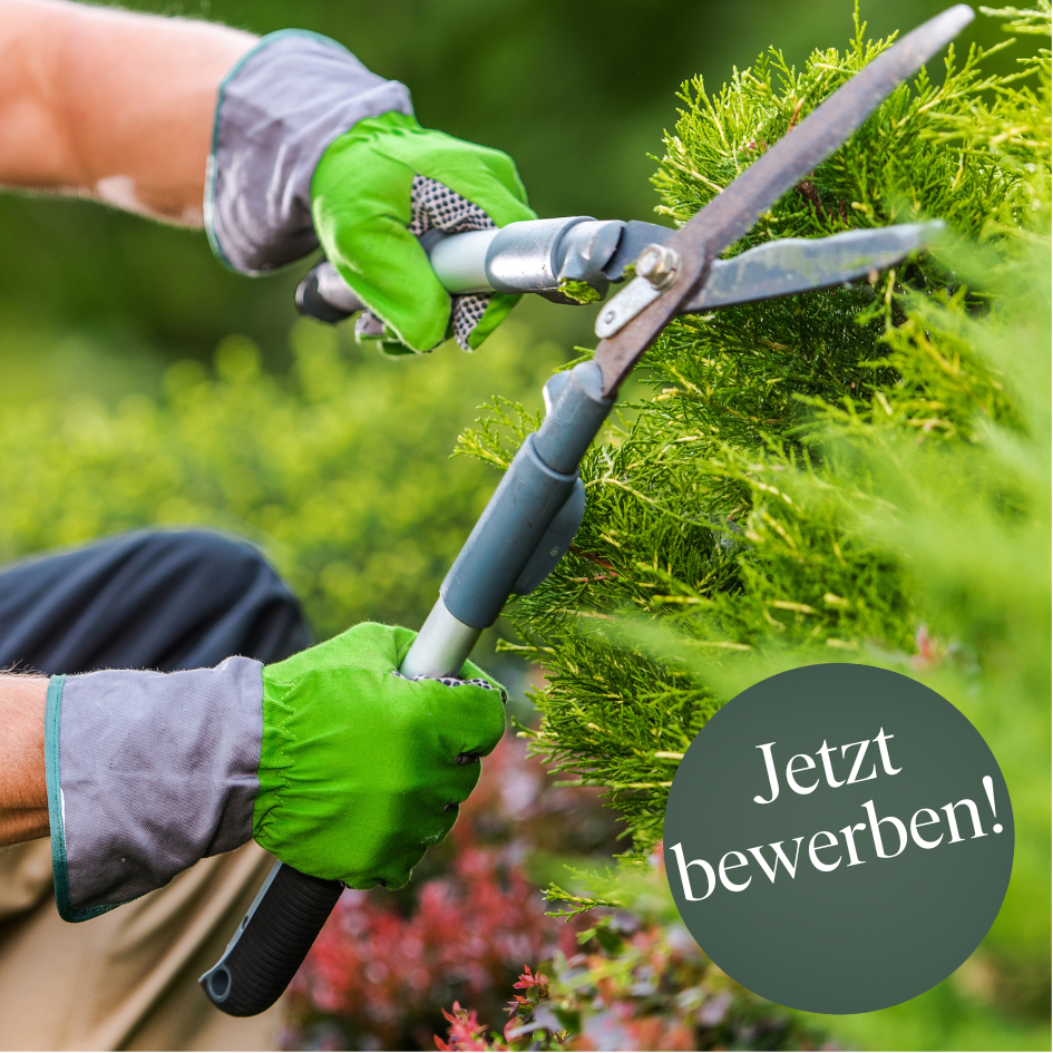 Verkaufsprofi Gartengeräte