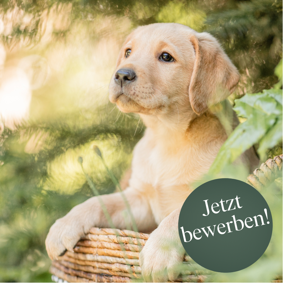 Fachberater/in Zooabteilung (m/w/d)